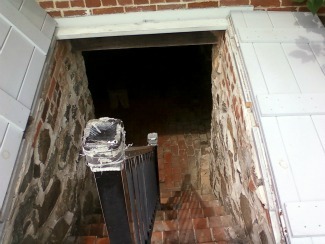 cellar steps