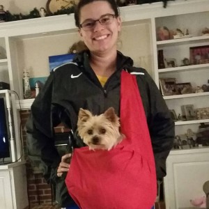pet therapy