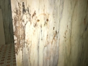 Mold grows in Meyran shower.
