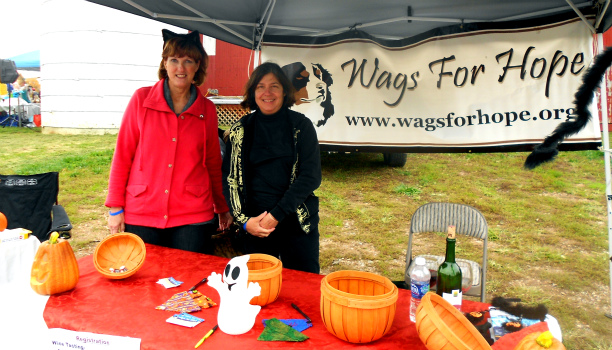 Wags